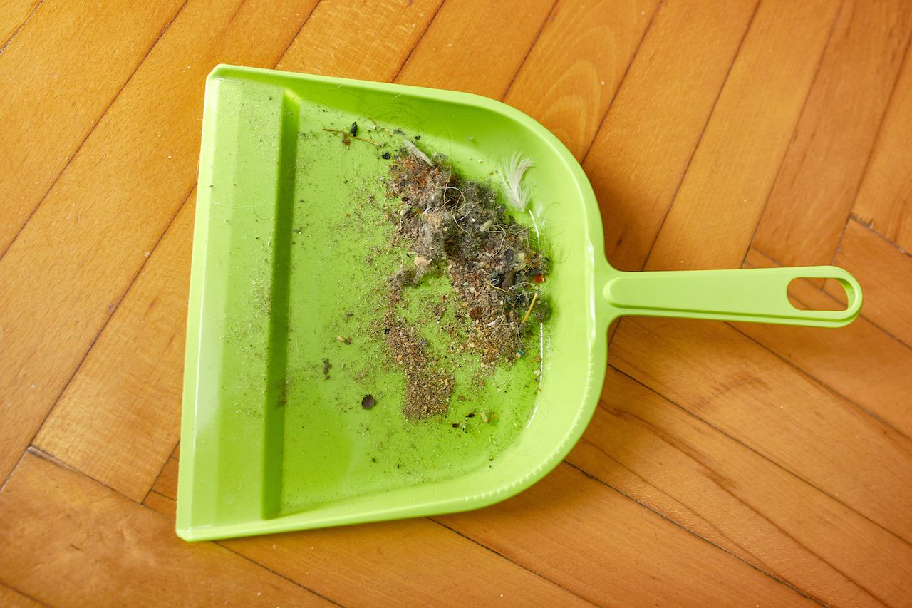 how to know if you have dust mites