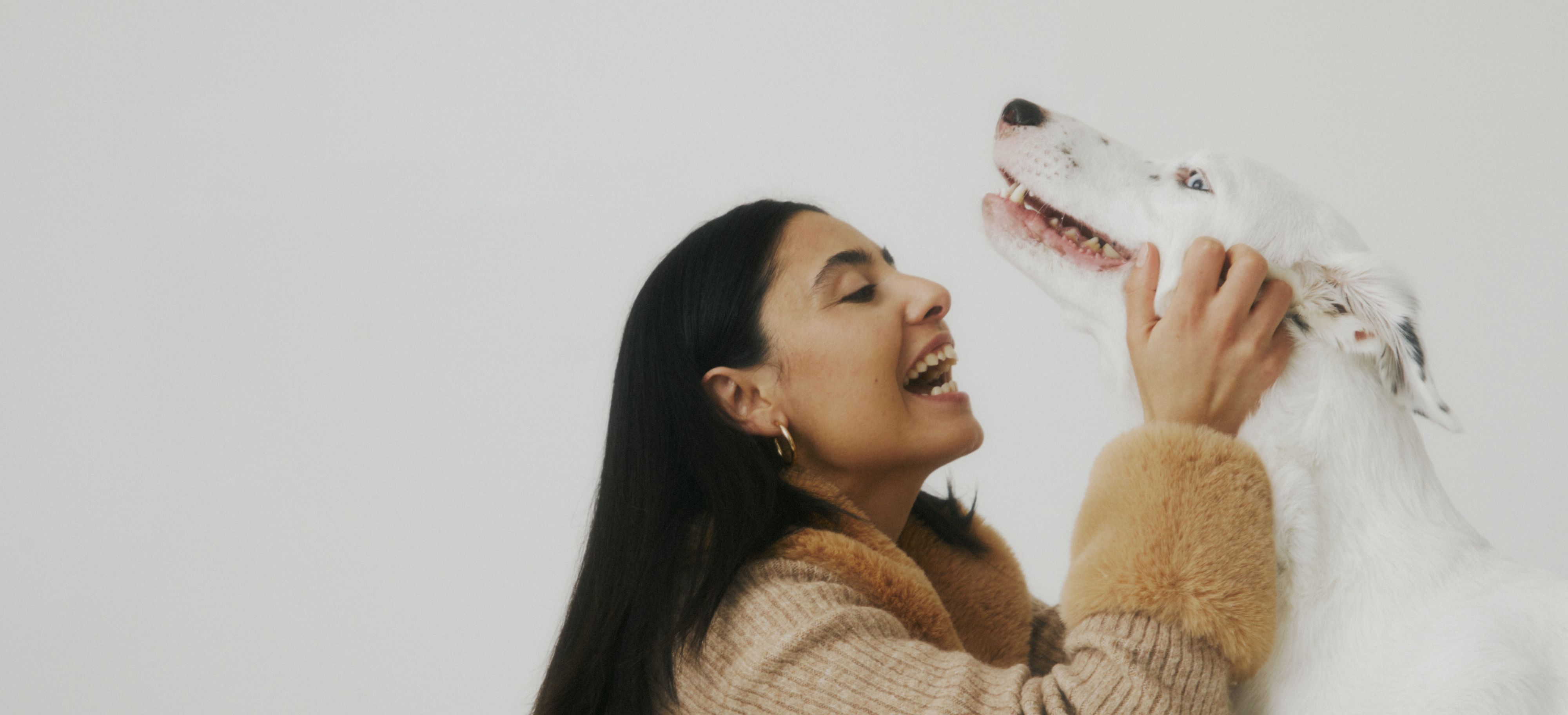 solution to pet allergy