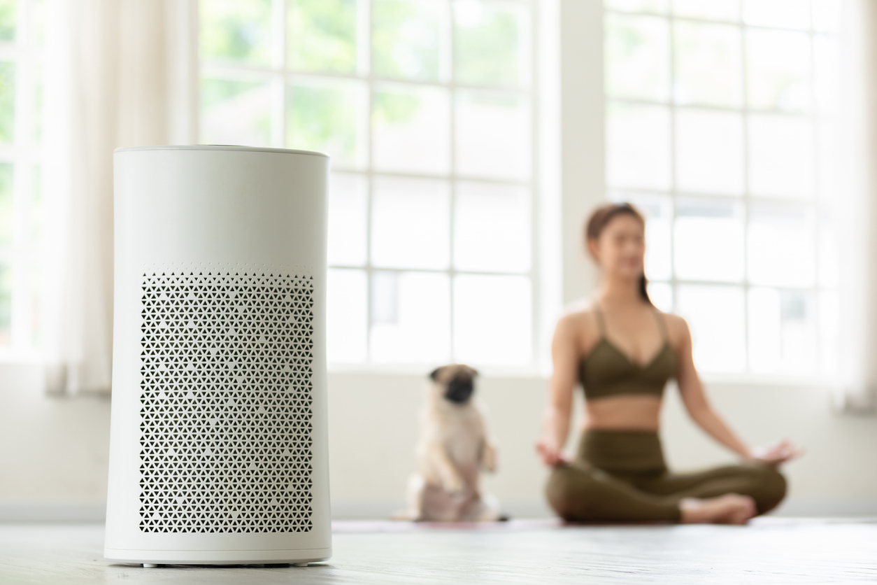 Modern HEPA air purifier in a bright living room next to houseplants