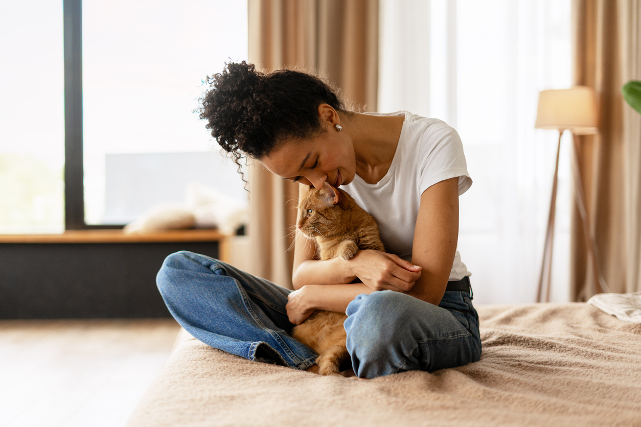 Cat being gently examined by a veterinarian in a clinic