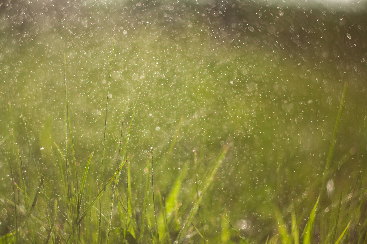 Calendar with seasonal allergy markings beside a pollen forecast on a phone screen