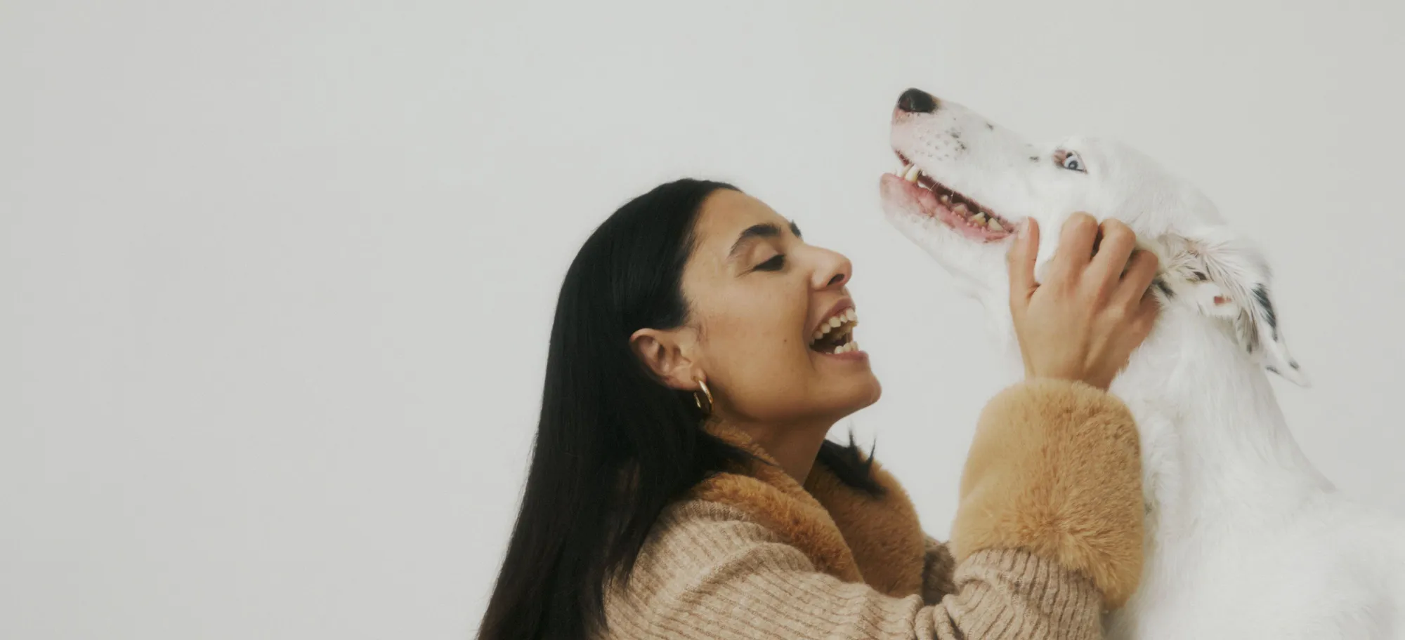 solution to pet allergy
