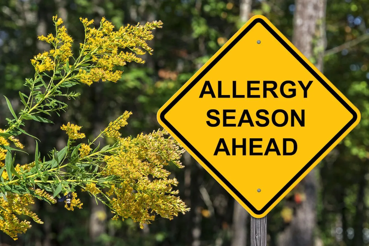 when do seasonal allergies start
