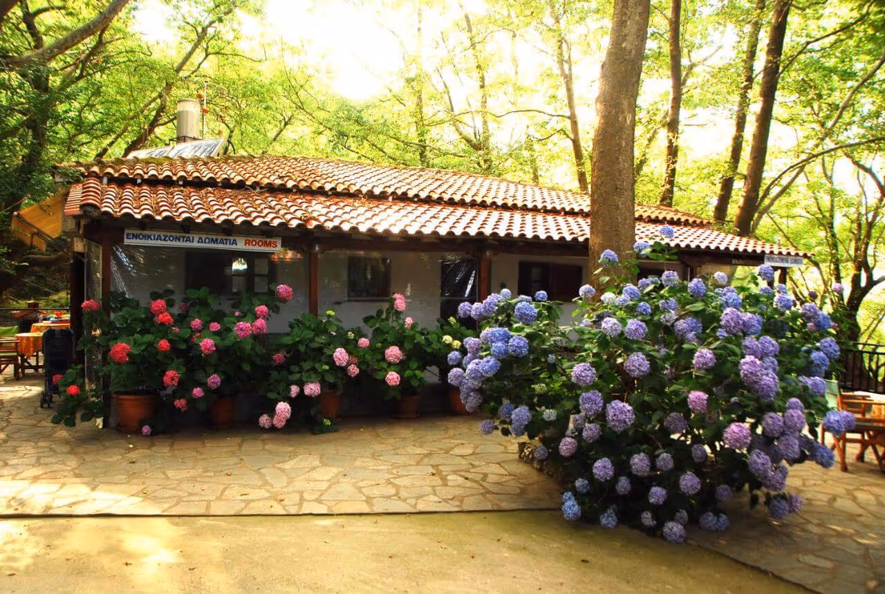 Parselia Rooms