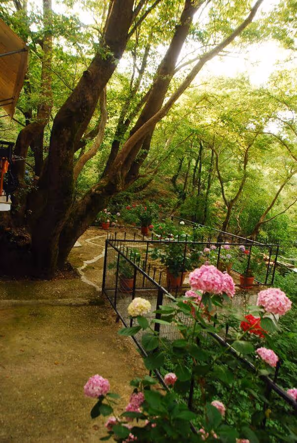 Parselia Rooms