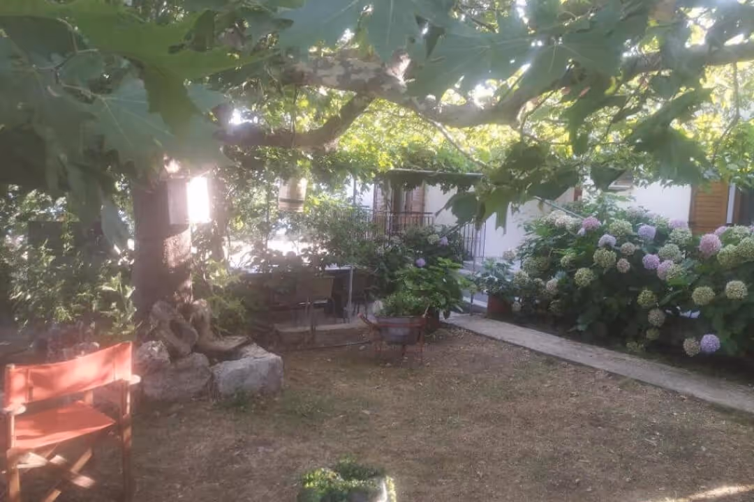 Harmonia Guest House