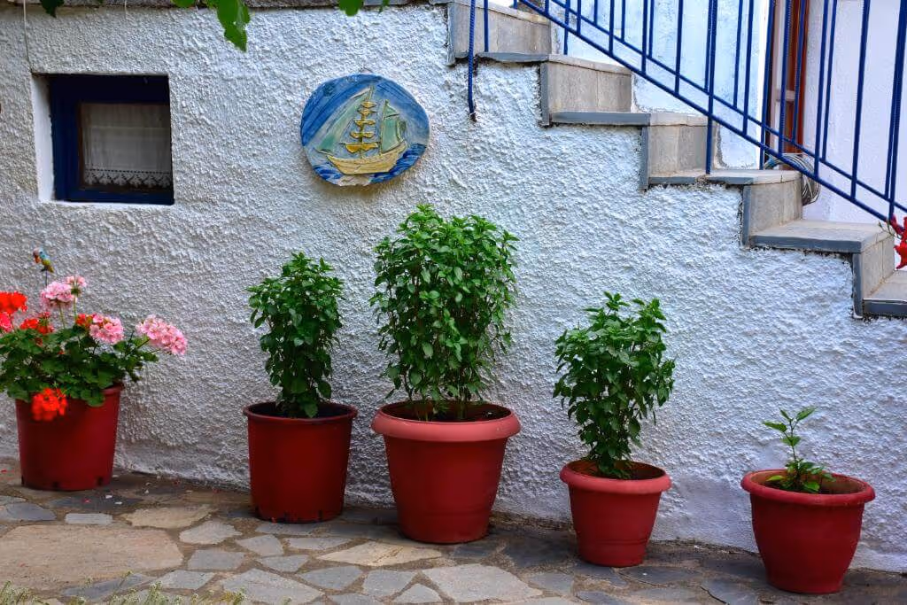 Mirsini Apartments