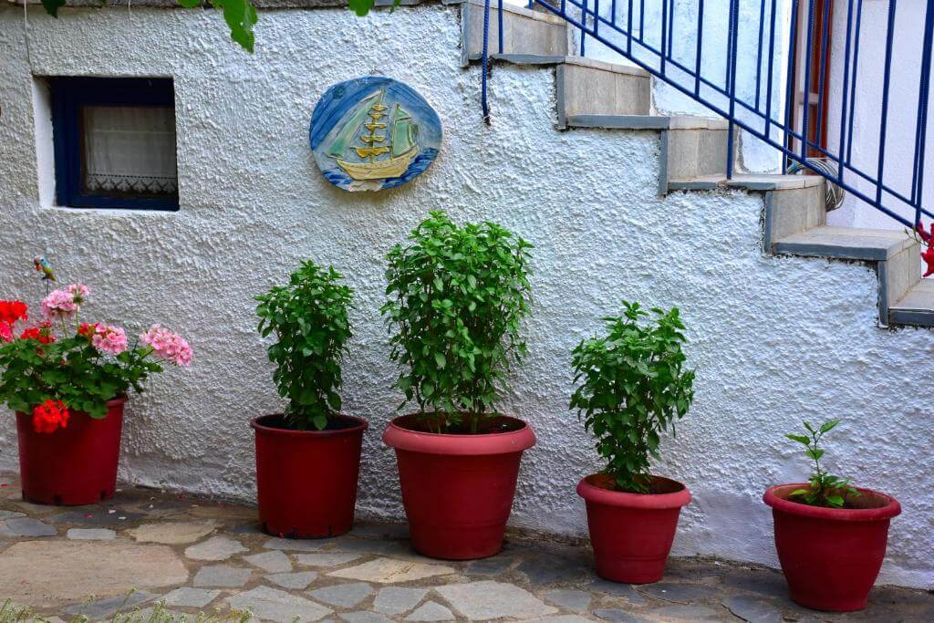 Mirsini Apartments