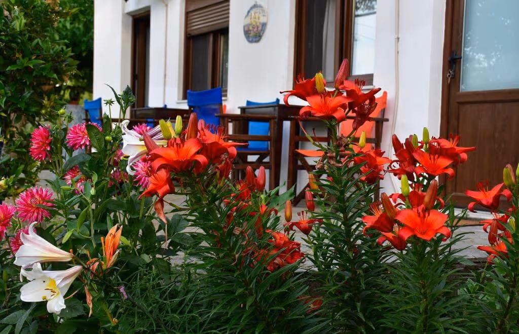 Mirsini Apartments