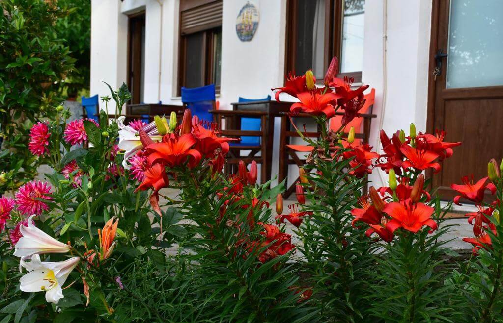 Mirsini Apartments
