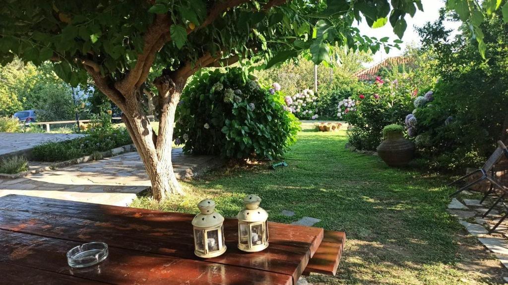 Mirsini Apartments