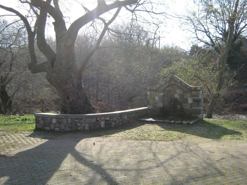 Asprovalta Rooms