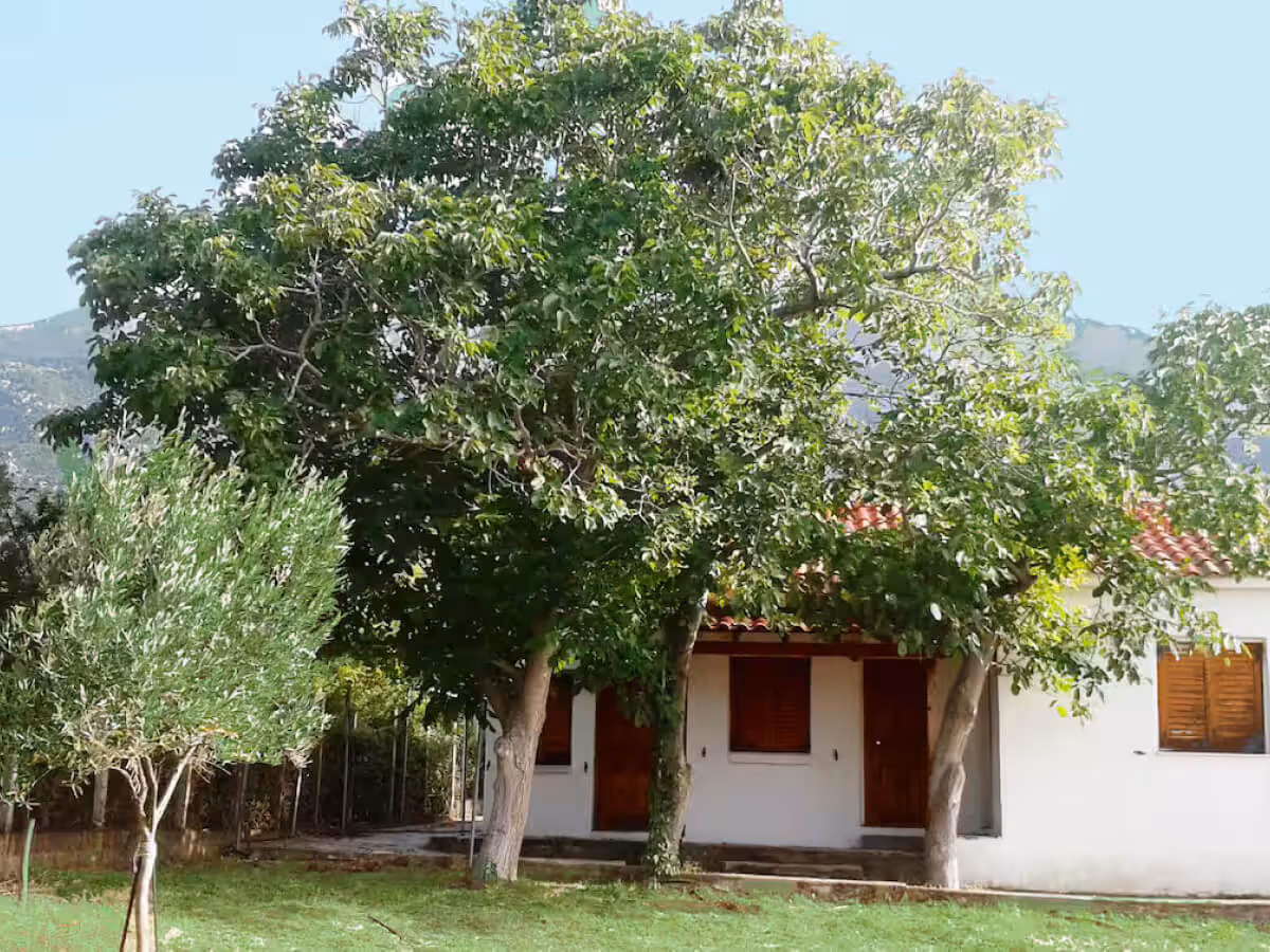 Cottage house