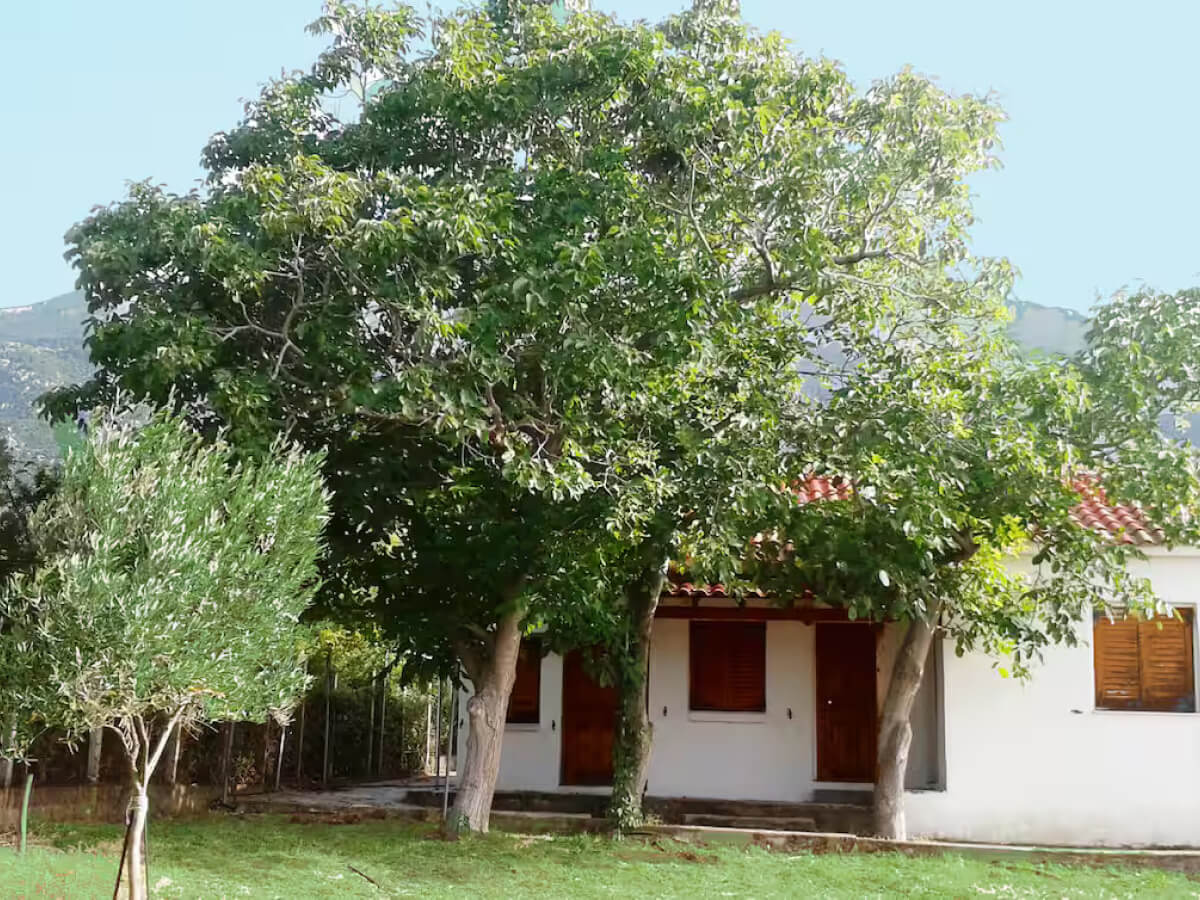 Cottage house