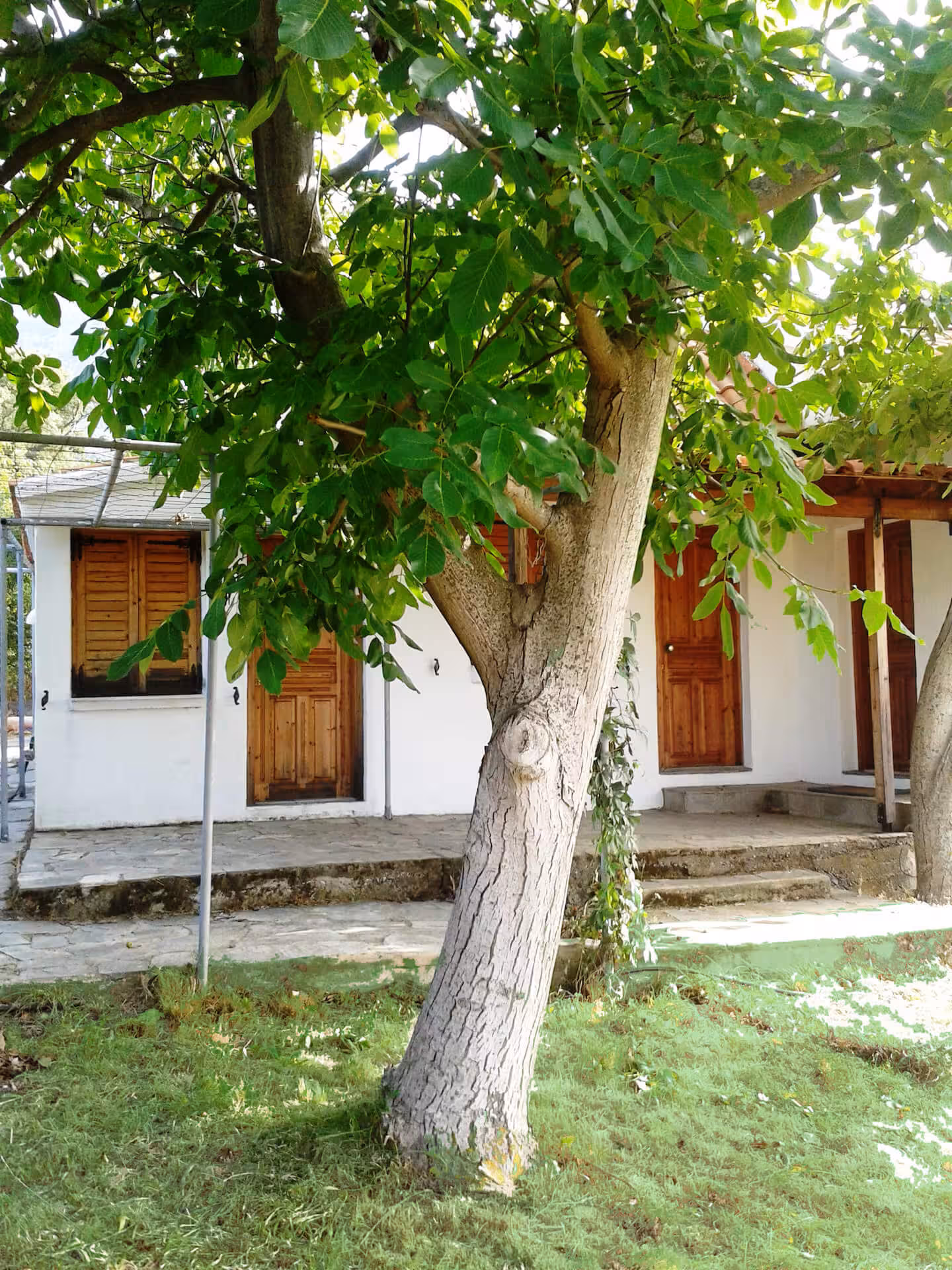 Cottage house