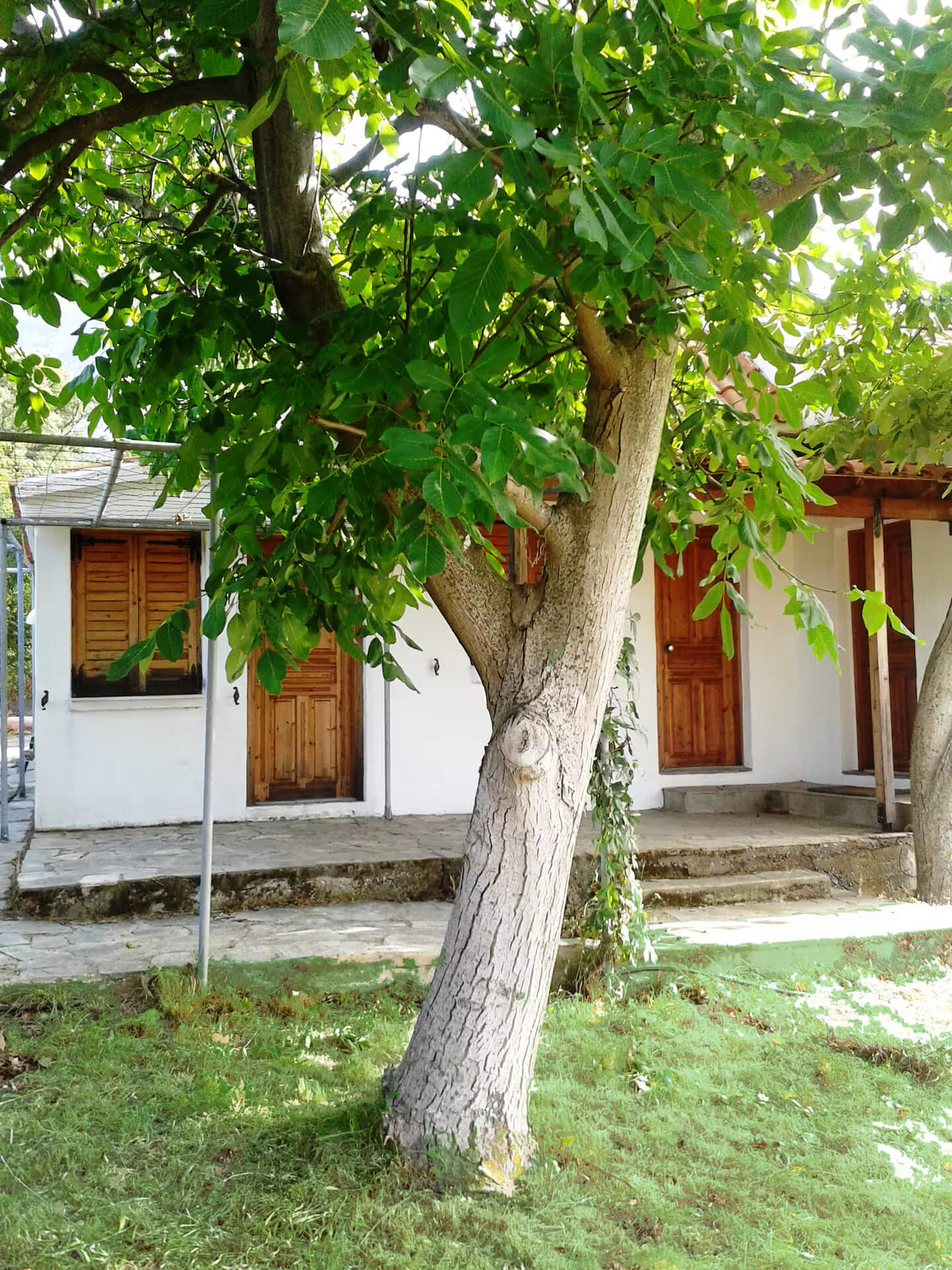 Cottage house