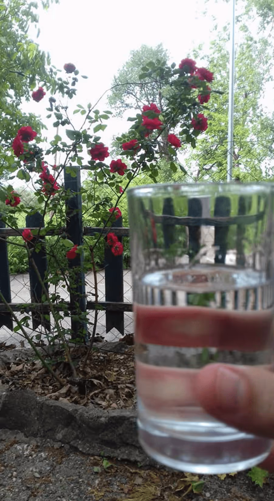 To Perivoli T'Ouranou Samothraki | Traditional Greek Taverna