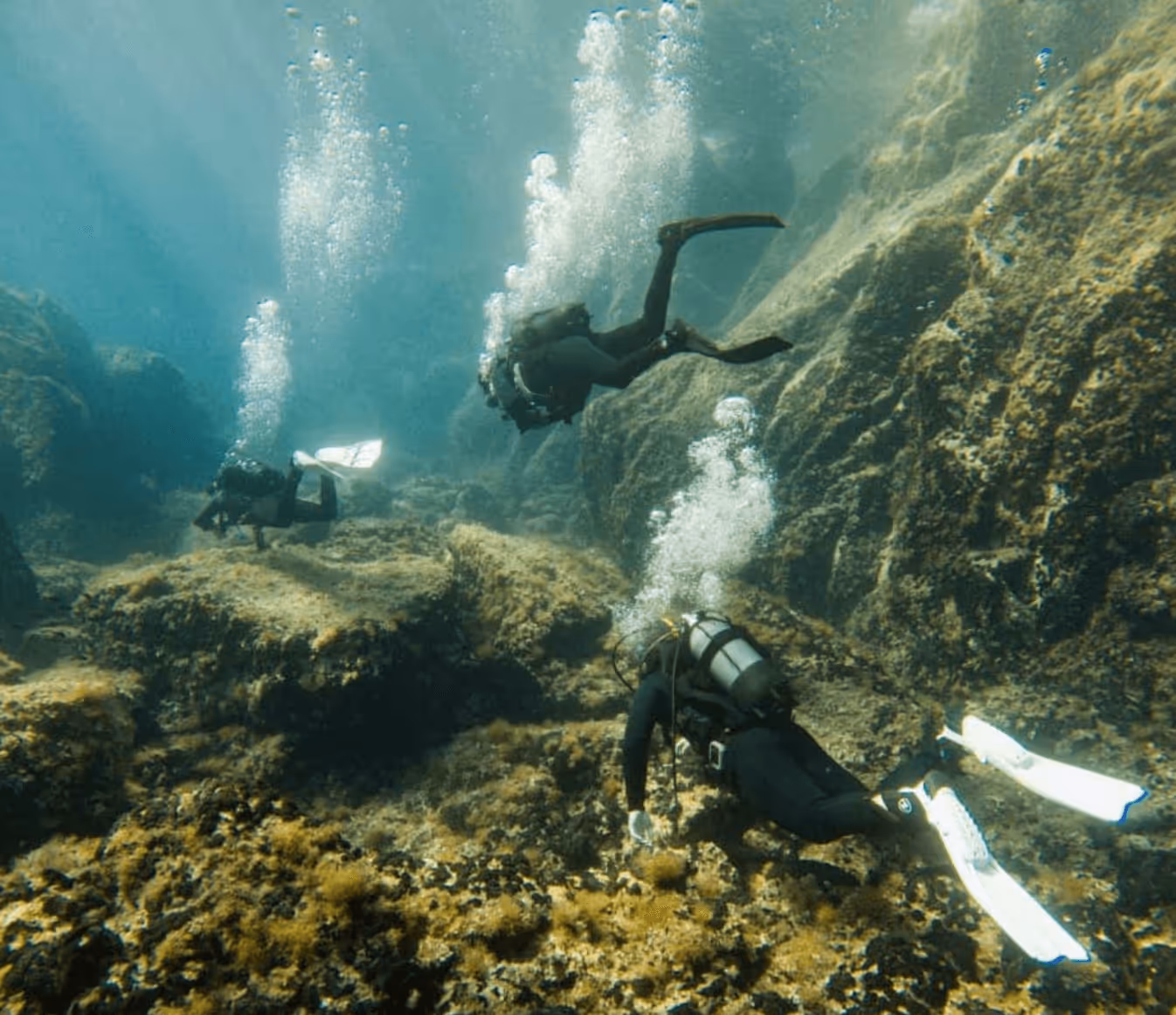 SubSaos Diving Center