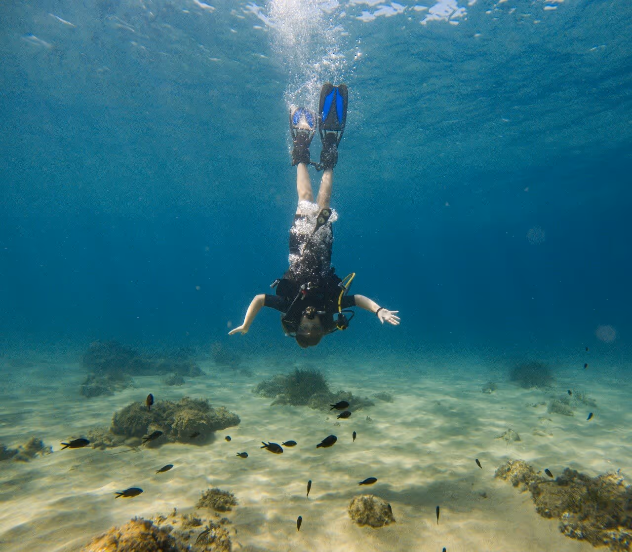 SubSaos Diving Center