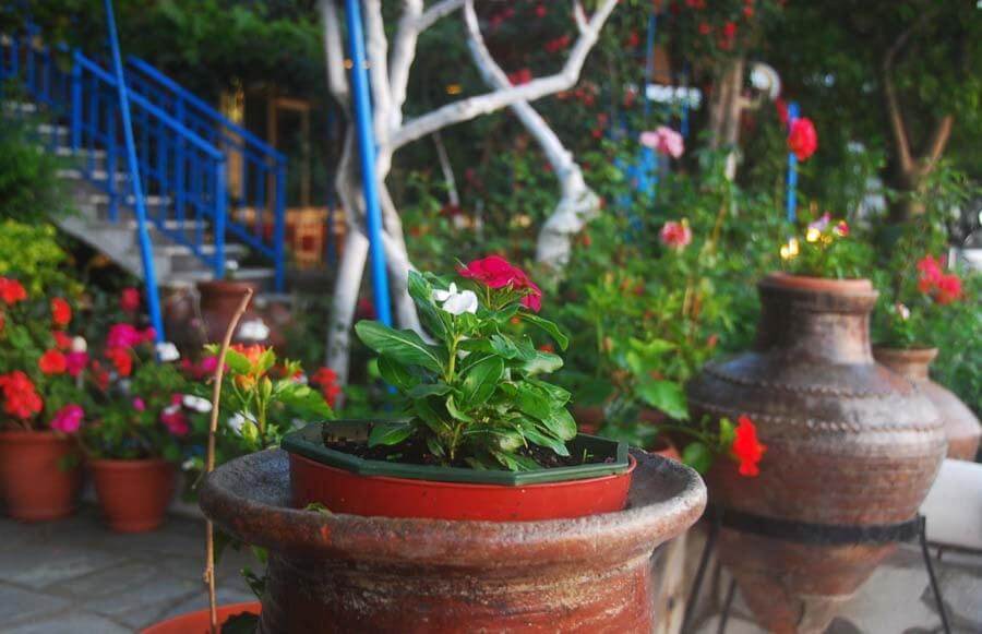 Villa Maria Samothraki