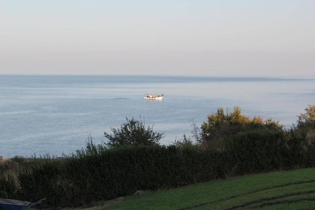 Myesis Boutique Apartments