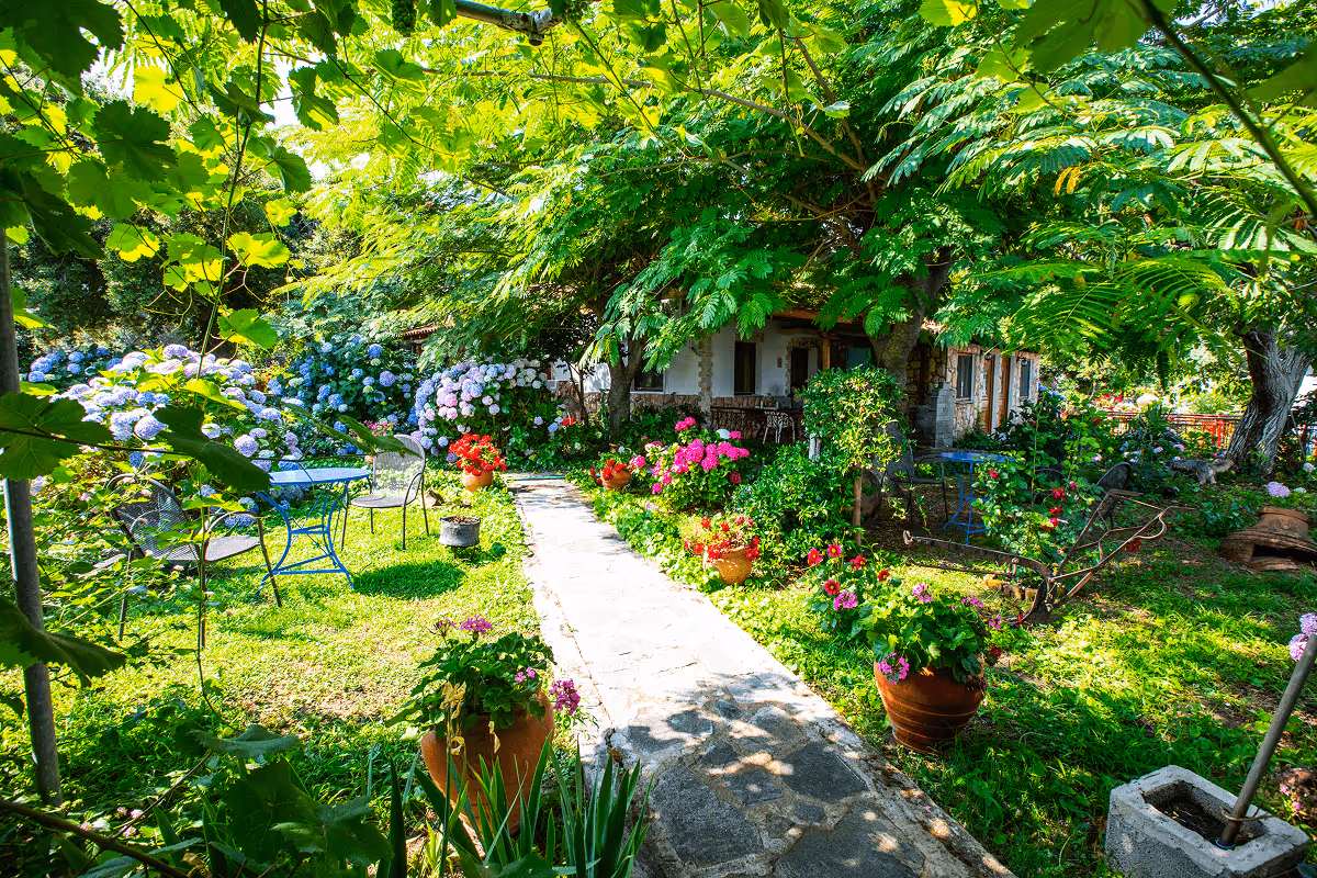 Aleka's Studios Θερμά Σαμοθράκη – Άνετα Διαμερίσματα με Κήπο