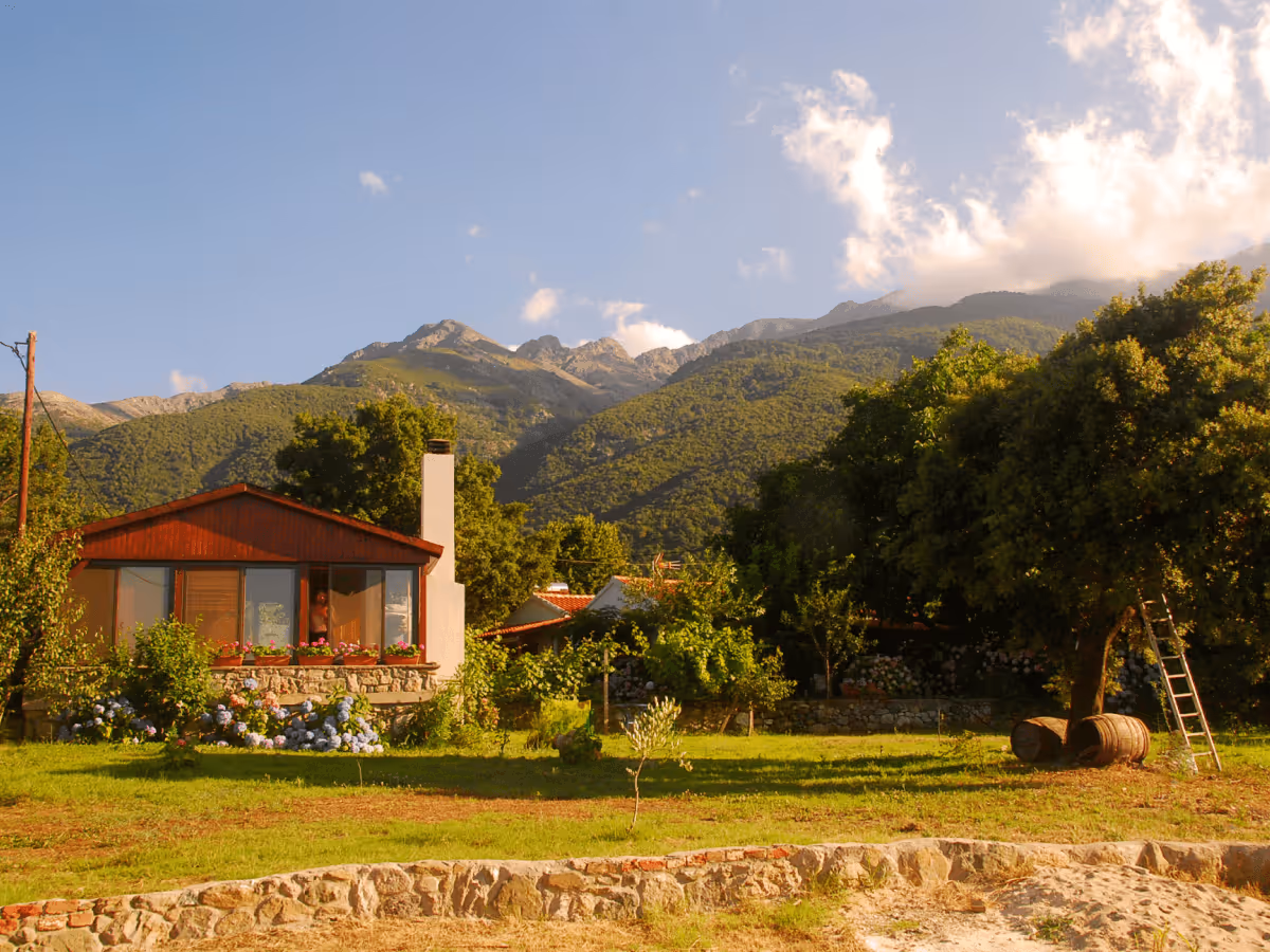 Alekas Studios