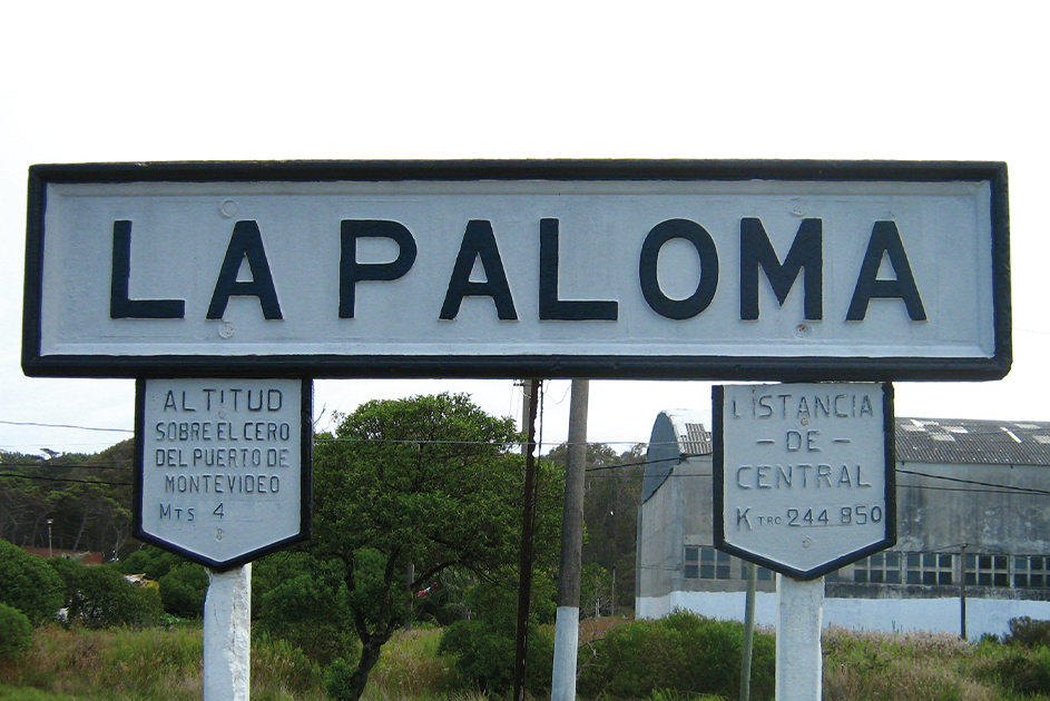La Paloma, Rocha
