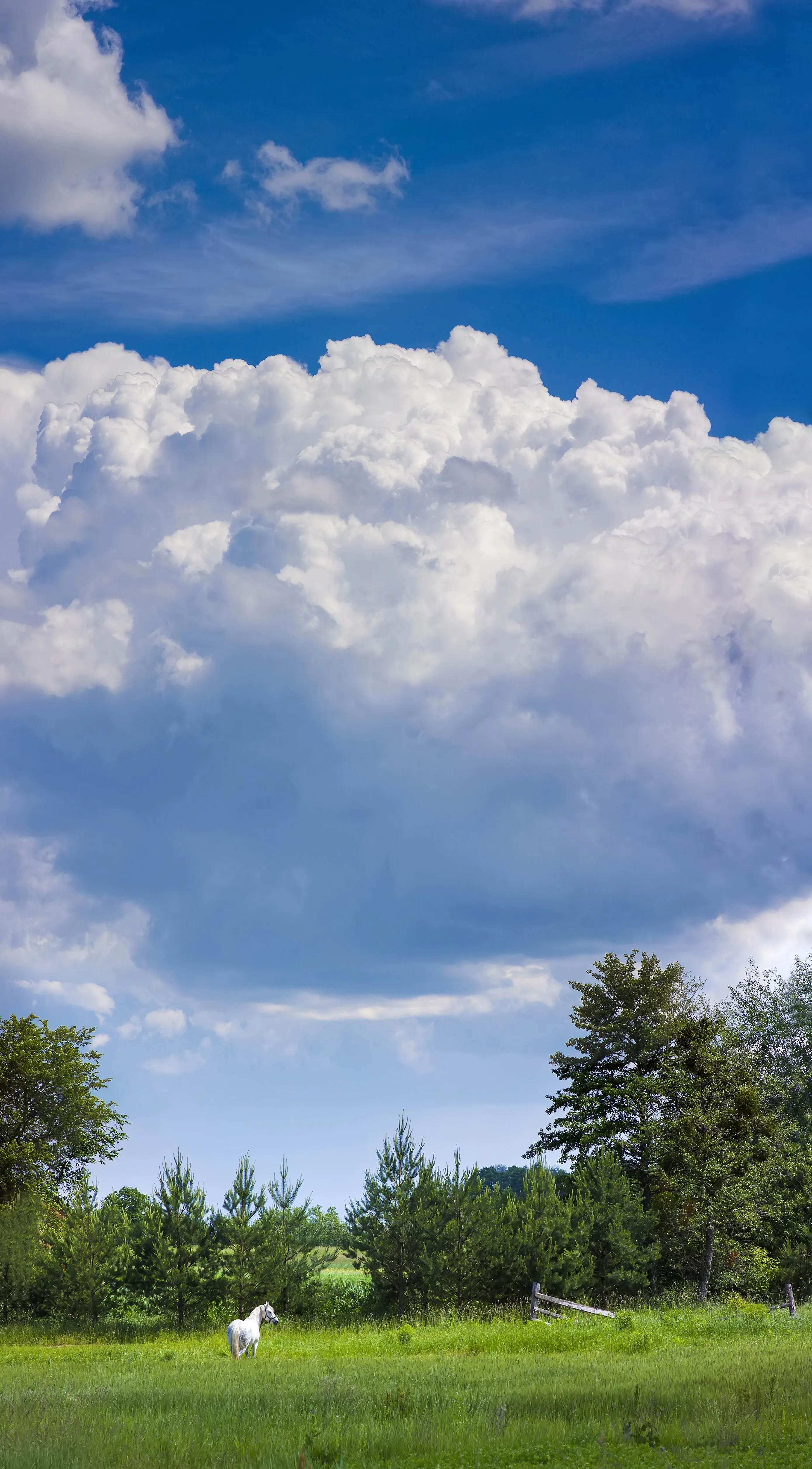 Cloud