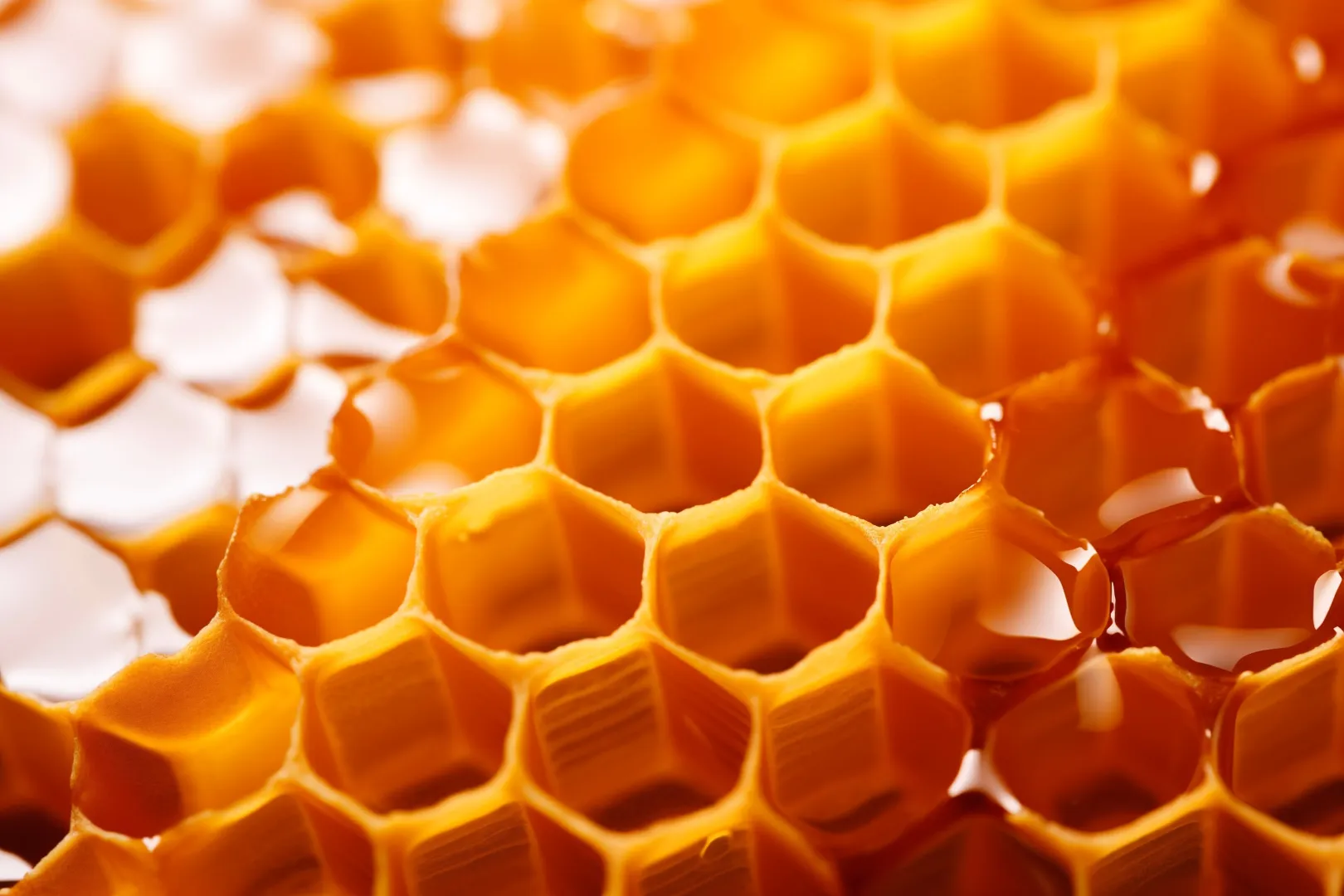 HoneyBricks