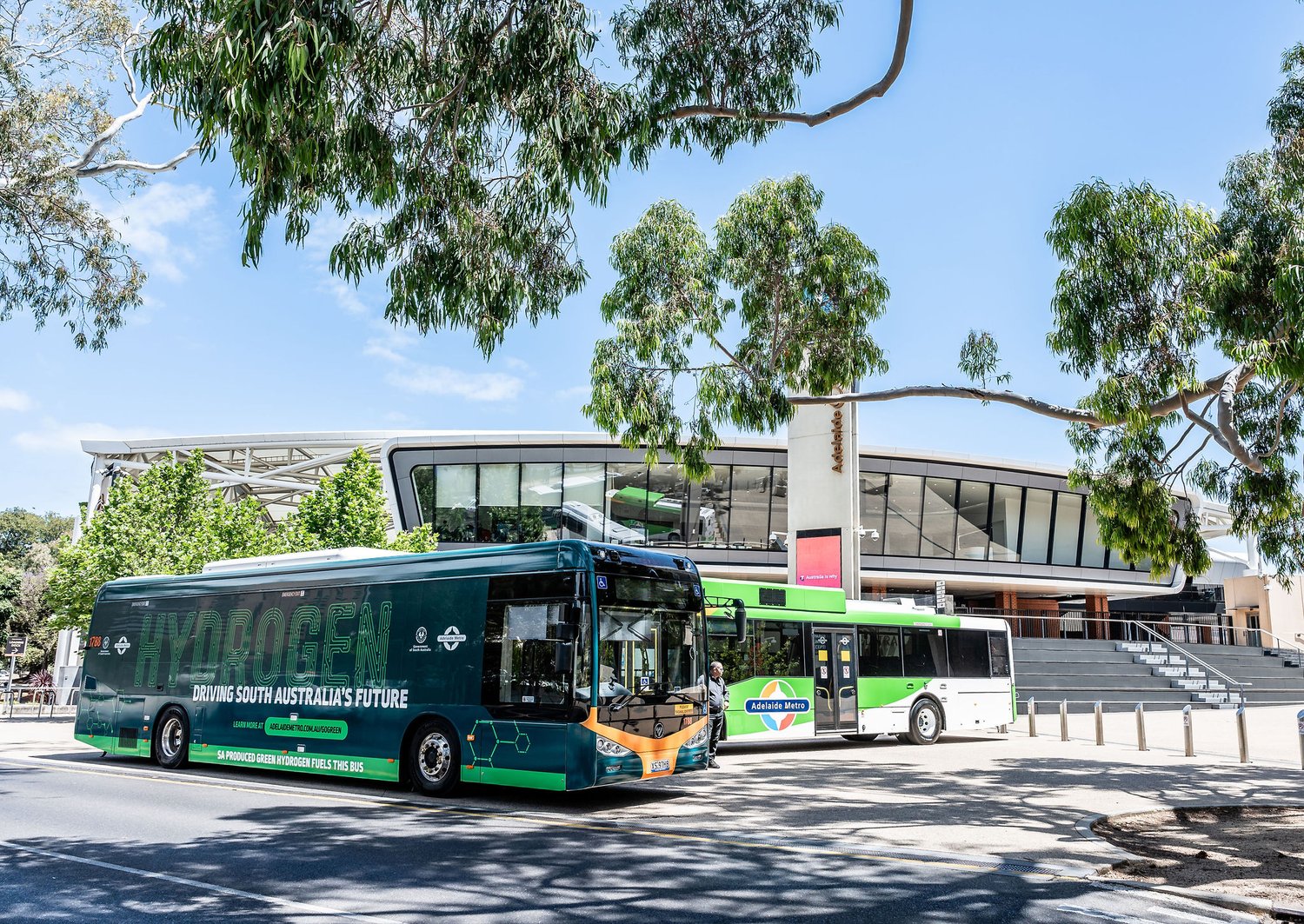 Two hydrogen-powered Adelaide Metro buses, one dark teal and one green and white, parked under trees in front of a modern building.