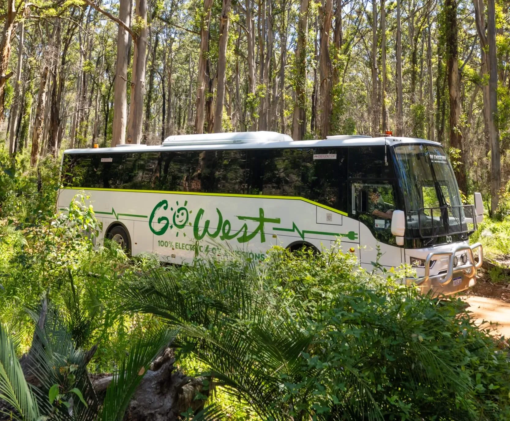 A white "Go West" electric bus with green lettering, driving through a dense forest.
