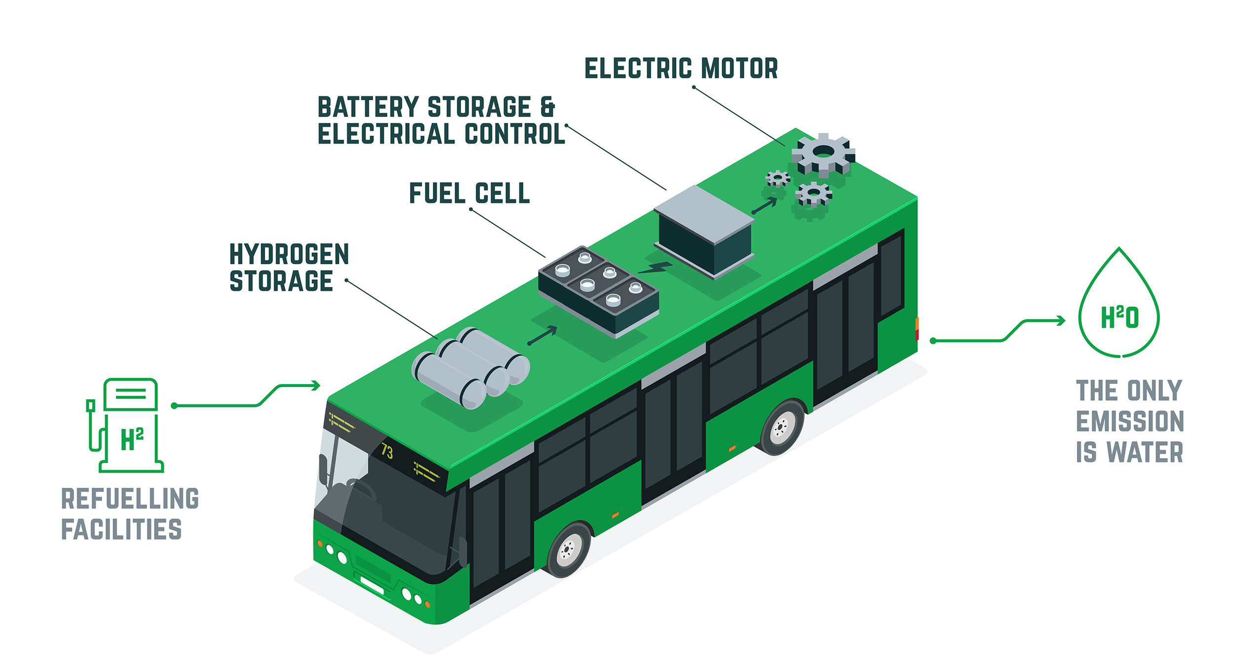 Infographic showing the components and operation of a hydrogen bus, with water as the only emission.