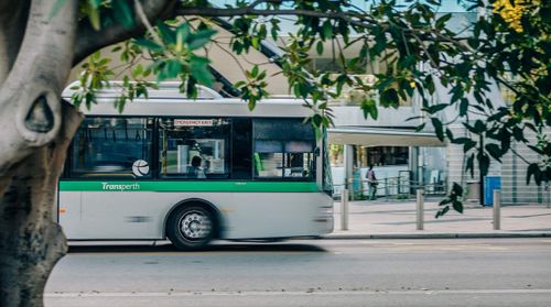 A Transperth city bus drives past a tree on an urban street, with the scene partially framed by green leaves.