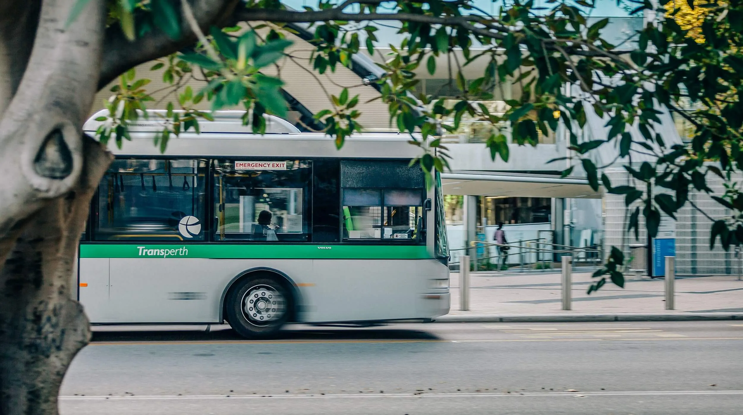 A Transperth city bus drives past a tree on an urban street, with the scene partially framed by green leaves.