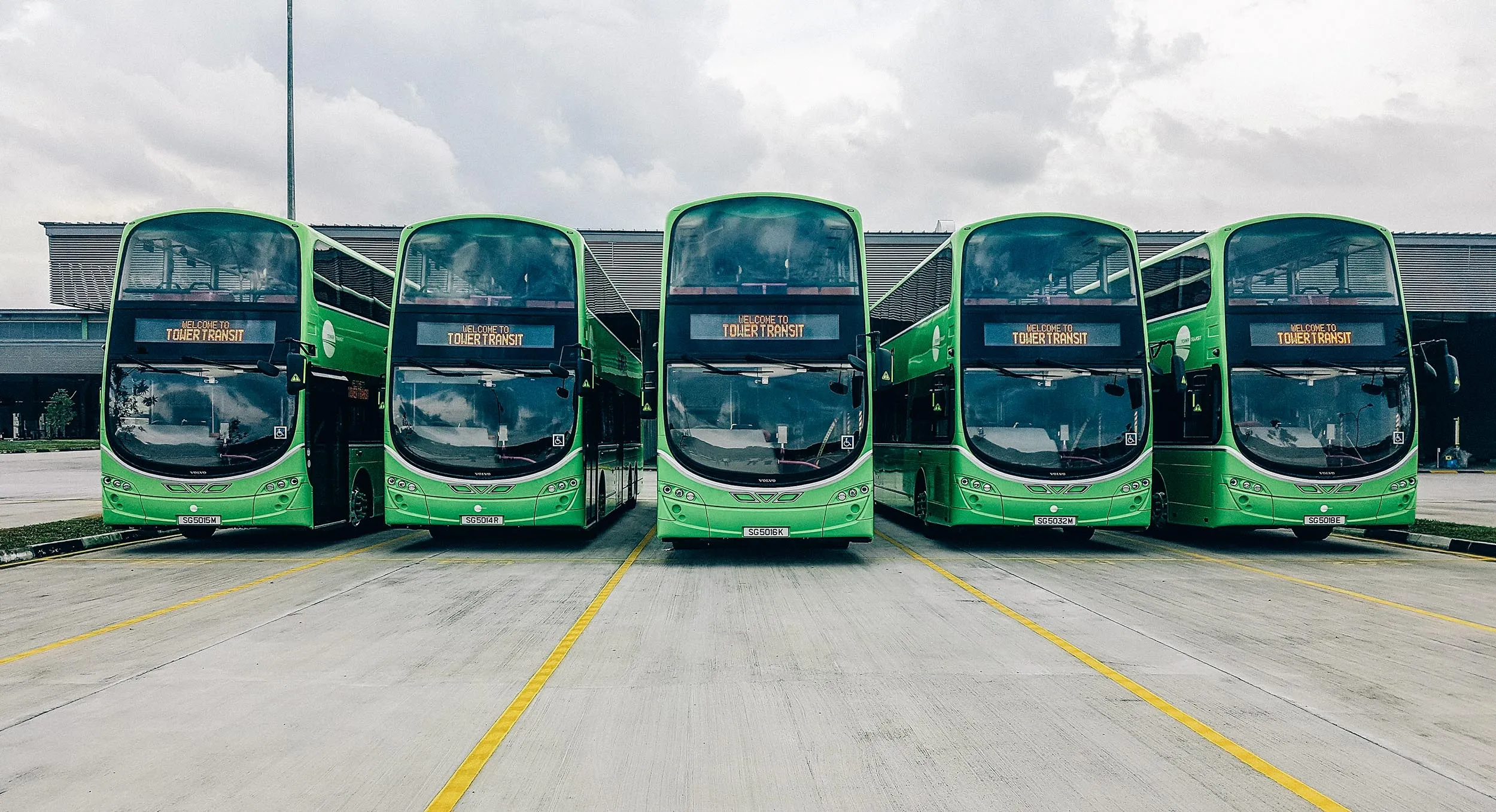 A row of five bright green double-decker Tower Transit buses parked side by side in a bus depot, ready for public transport service.