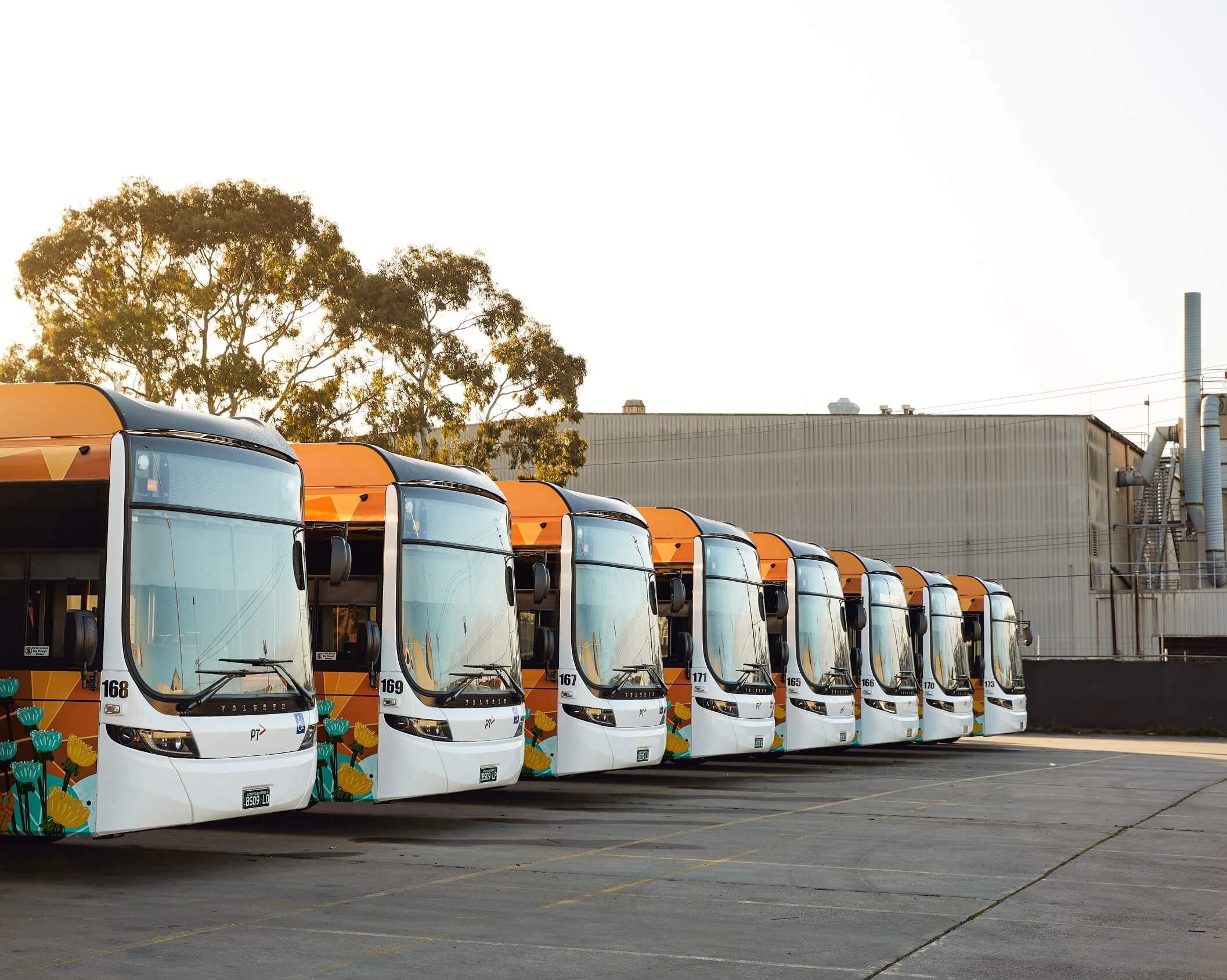 A row of buses parked in a parking lot