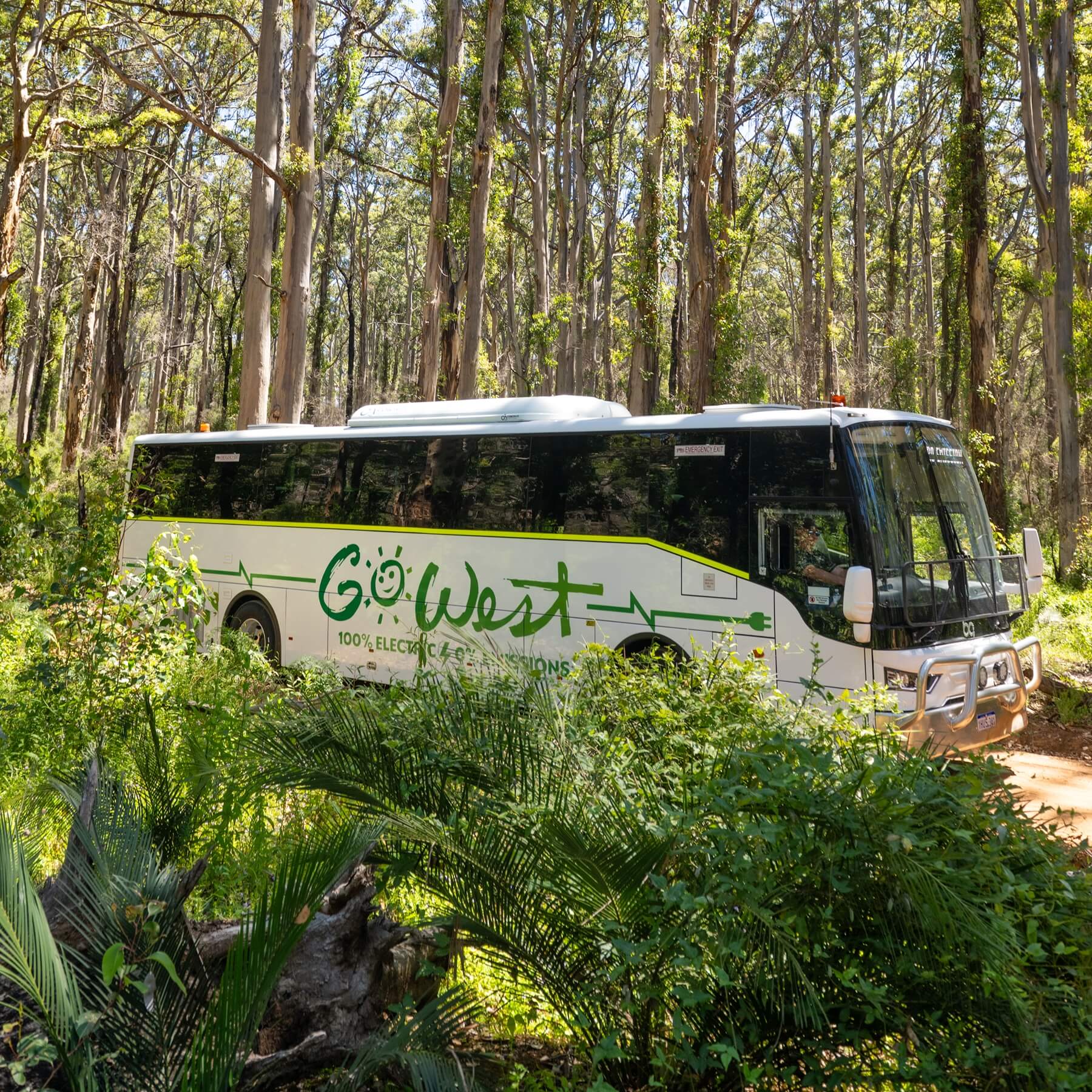 A Go West bus driving through the woods