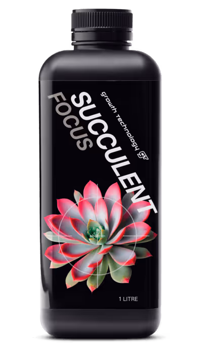 GT Succulent Focus will provide your succulents with all the essential nutrients that are required to ensure they are kept healthy and vibrant.