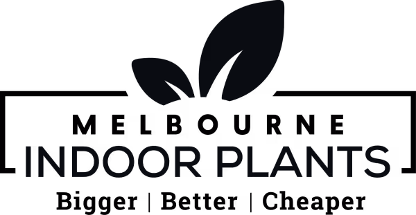 Melbourne Indoor Plants Preston