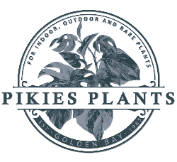 Pikies Plants