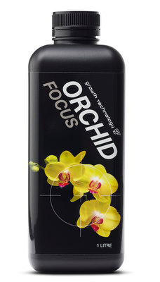 Orchid Focus