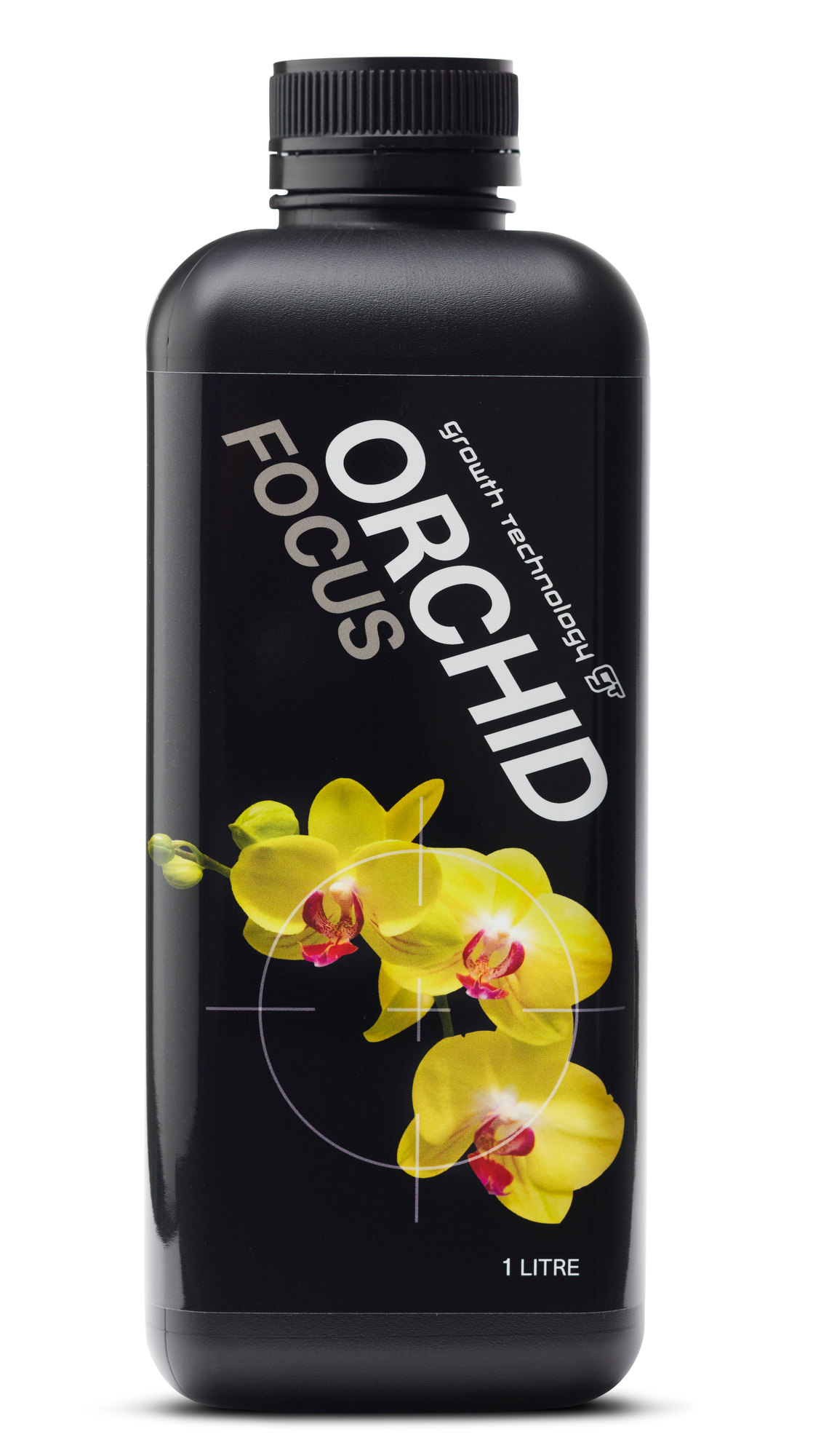 Orchid Focus