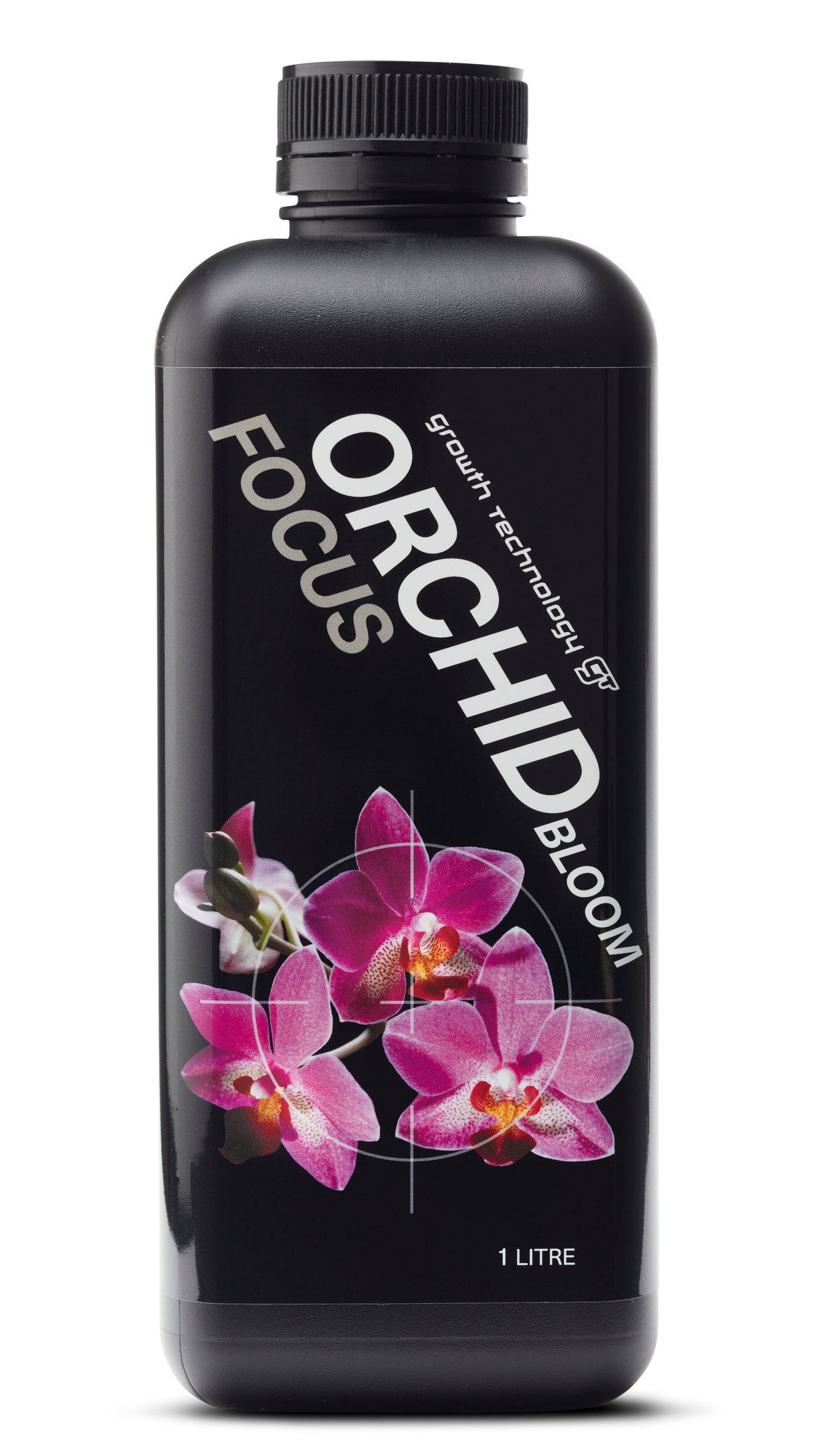 Orchid Bloom Focus