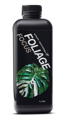 Foliage Focus