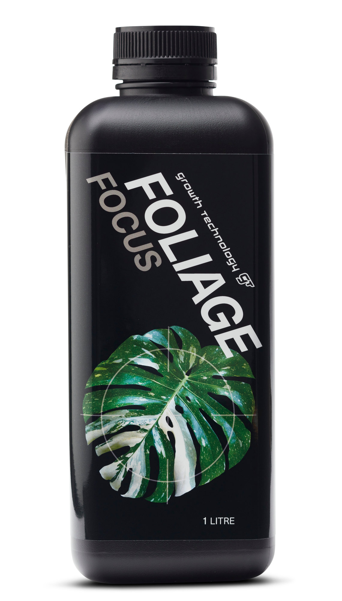 Foliage Focus