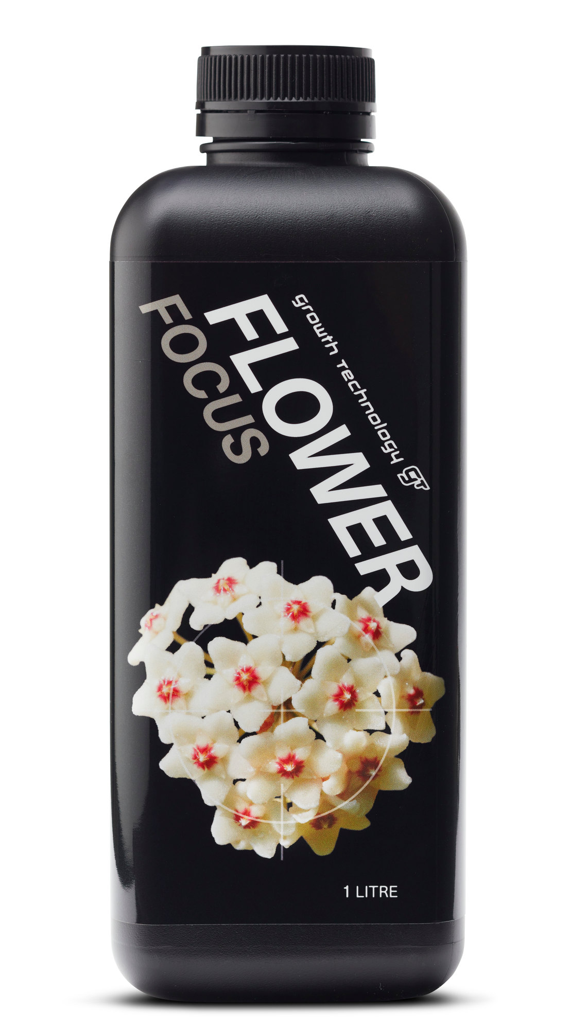 Flower Focus