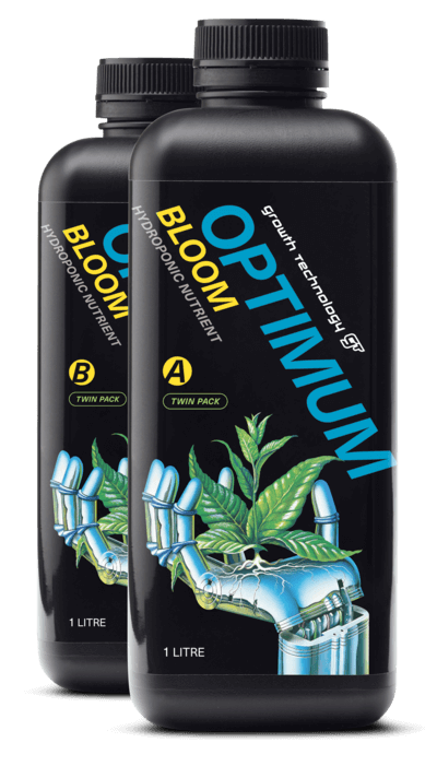 Optimum Bloom