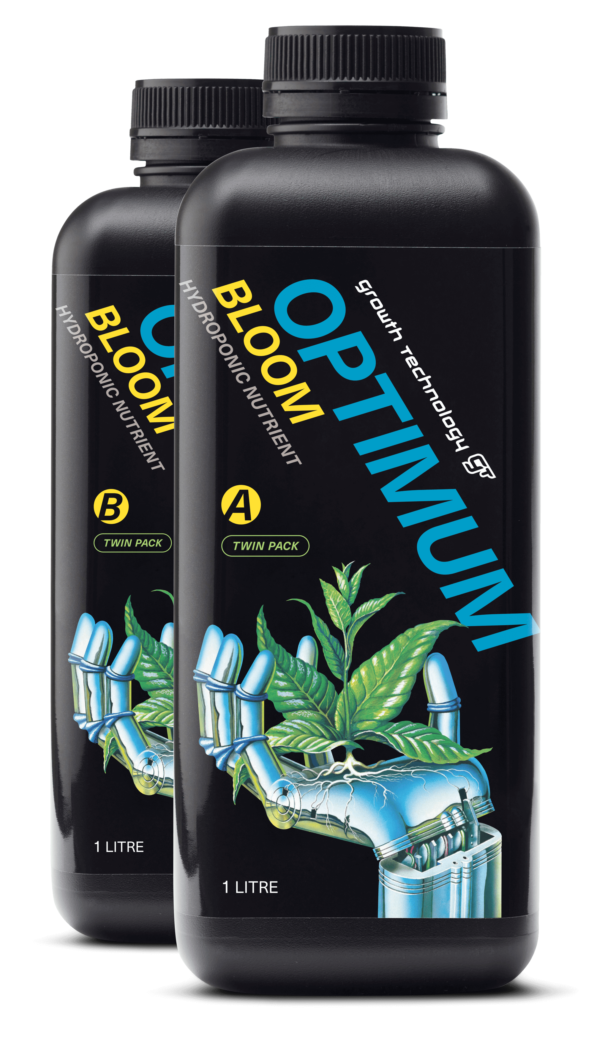 Optimum Bloom