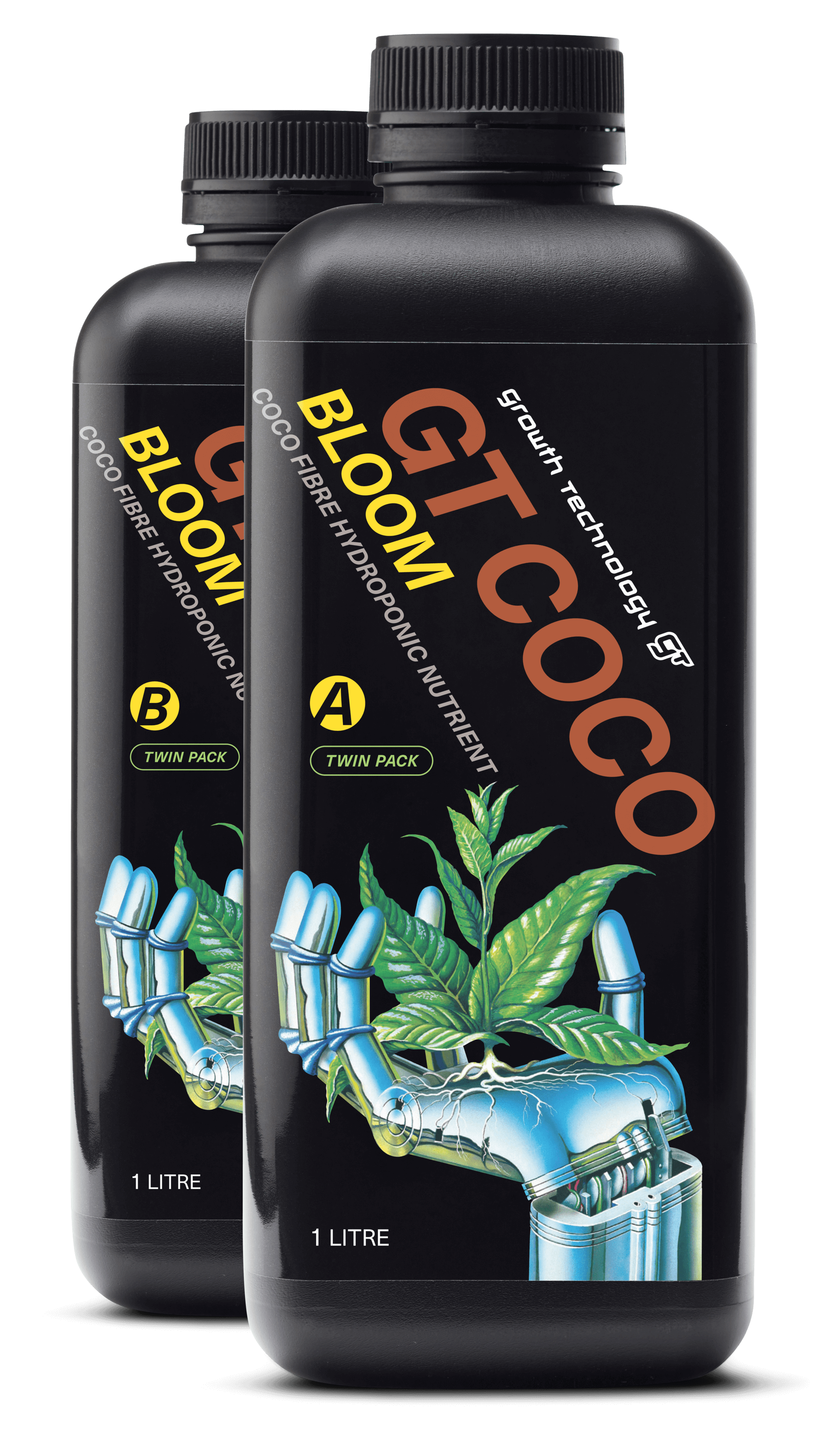 GT Coco Bloom